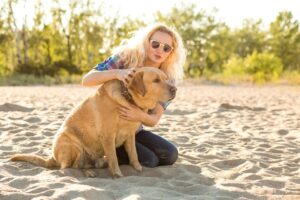 Parasites Risk in Pets