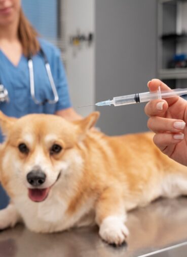 Rabies Vaccine for Dog