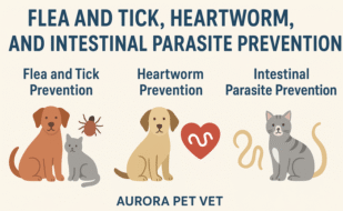 Flea and Tick Prevention for Pets in Aurora Animal Hospital at Aurora