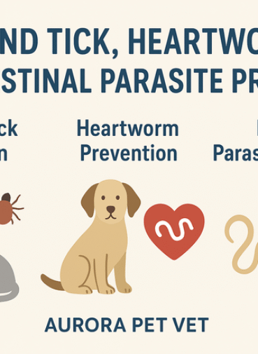 Flea and Tick Prevention for Pets in Aurora Animal Hospital at Aurora