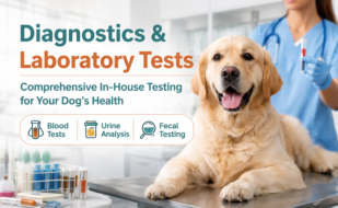 diagnostics-lab-tests-700px
