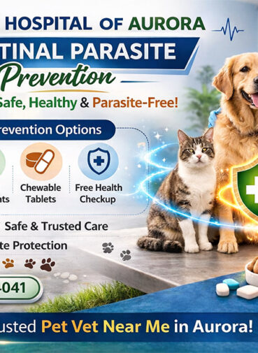 Intestinal Parasite Prevention Animal Hospital at Aurora Pet Vet Near Me Intestinal Parasite Prevention Animal Hospital at Aurora Pet Vet Near Me