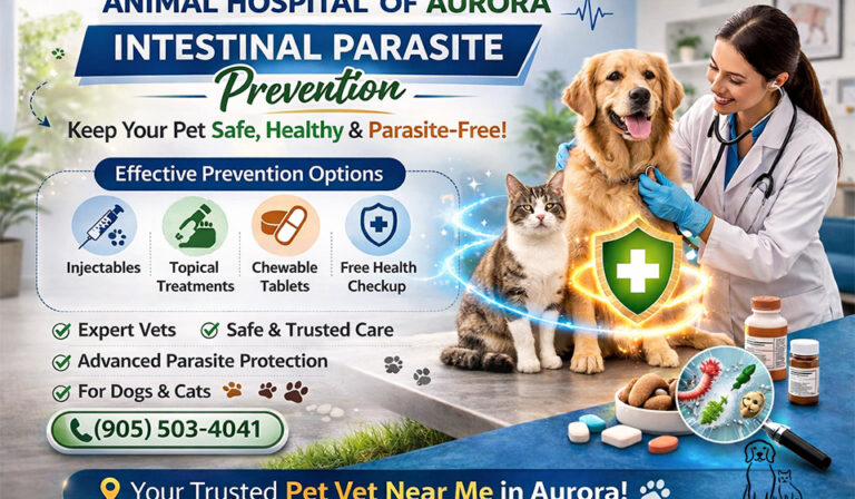 Intestinal Parasite Prevention Animal Hospital at Aurora Pet Vet Near Me
