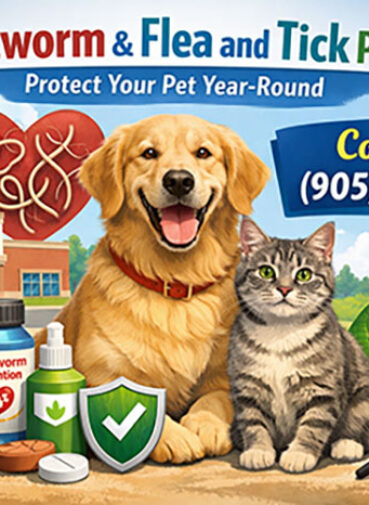Heartworm-Prevention