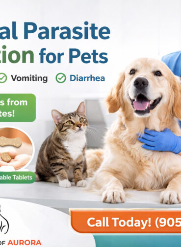 Intestinal Parasite Prevention for Pets - Animal hospital of Aurora - Pet Vet Near Me