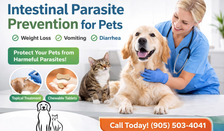 Intestinal Parasite Prevention for Pets - Animal hospital of Aurora - Pet Vet Near Me