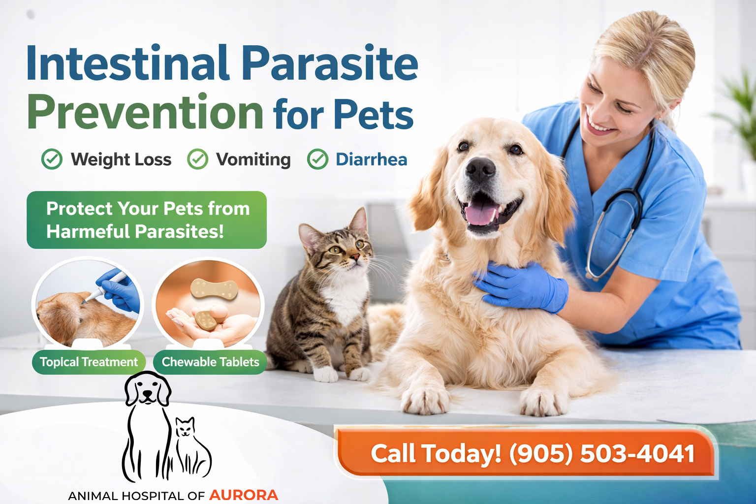 Intestinal Parasite Prevention for Pets - Animal hospital of Aurora - Pet Vet Near Me