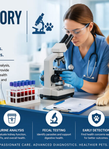Why Laboratory Tests Are Essential for Your Dog’s Health Why Laboratory Tests Are Essential for Your Dog’s Health