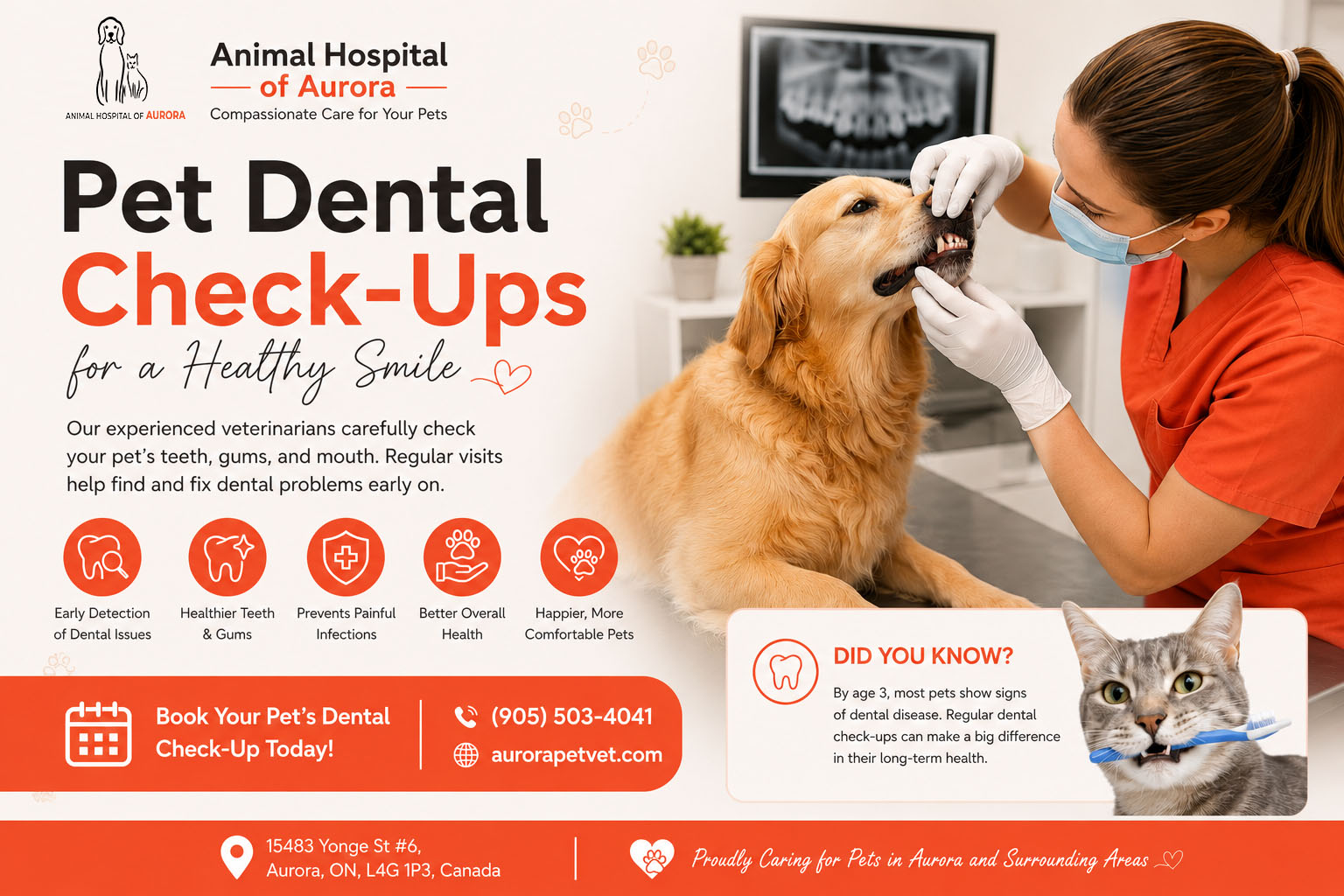 Pet Dental Check-Ups in Aurora, Ontario