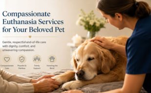 Compassionate Euthanasia Services for Your Beloved Pet Compassionate Euthanasia Services for Your Beloved Pet