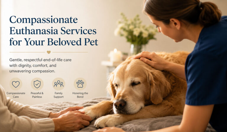 Compassionate Euthanasia Services for Your Beloved Pet Compassionate Euthanasia Services for Your Beloved Pet